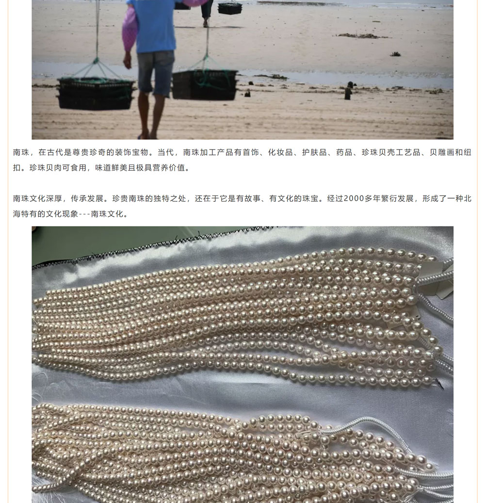 古老南珠，綻放異彩