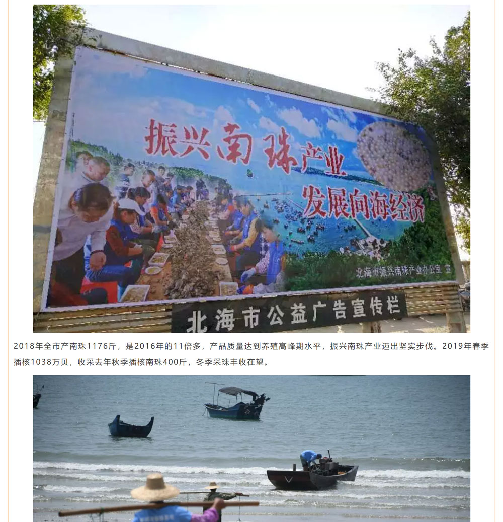 古老南珠，綻放異彩